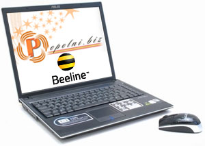           Beeline ()